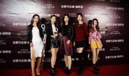 爆料酒吧名媛视频大全集,视频大全集精彩回顾